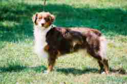 Rock's window dark de l'Orée des charmois