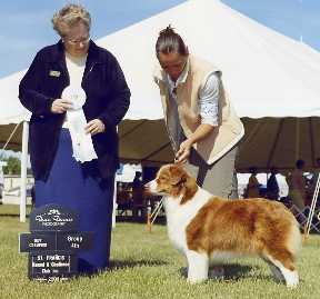 CH. Tessie red de l'Orée des charmois