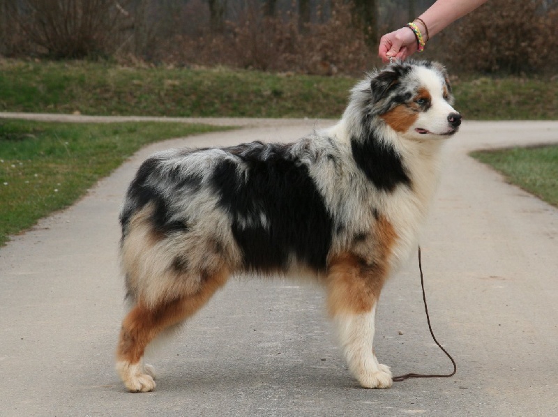 Farenheit beat in space de l'Orée des charmois