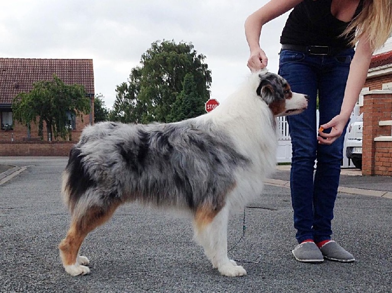 Highway love spent de l'Orée des charmois